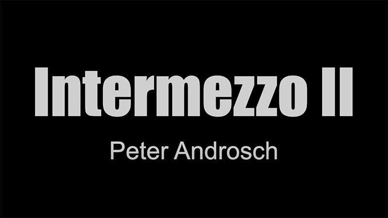 Intermezzo II